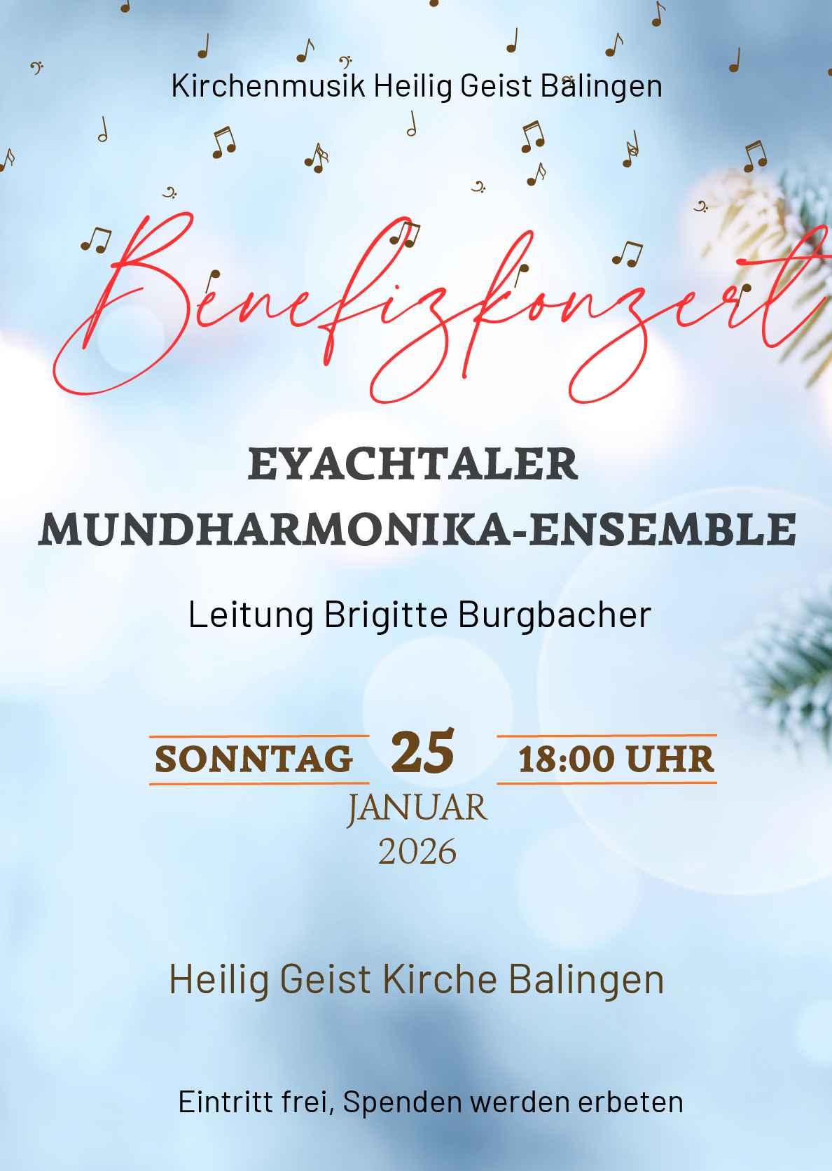 Konzert Mundharmonika 25.1.26